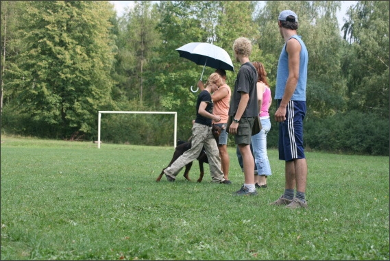 Summer training camp - Jelenec - 2007